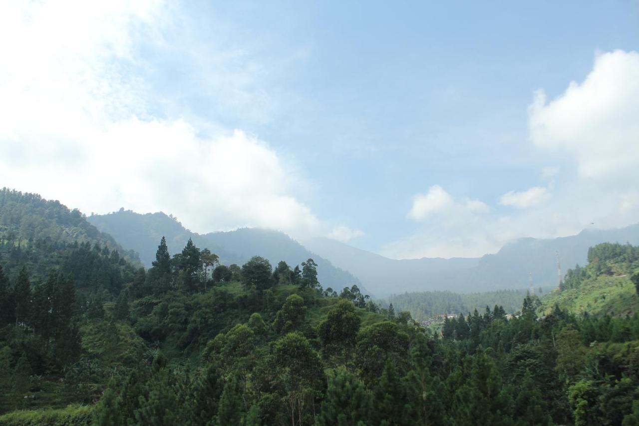 Sun Q Ta Guci * Tegal (Central Java)